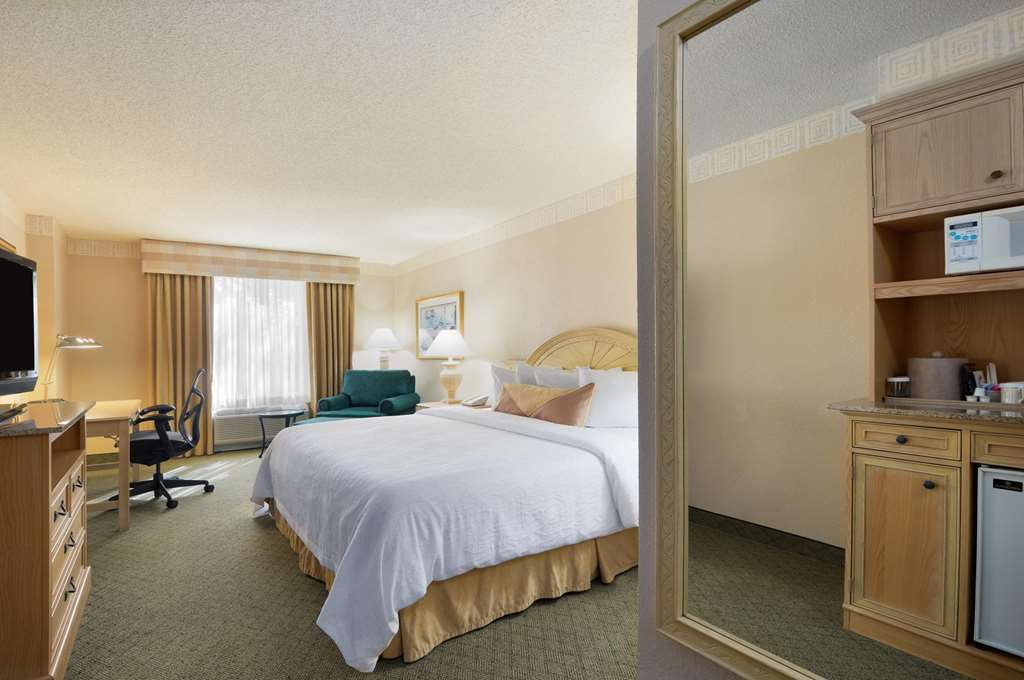 Hilton Garden Inn Atlanta North/Johns Creek Bilik gambar